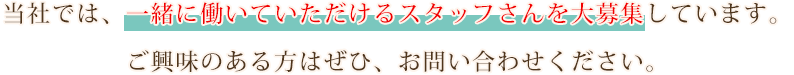 当社では、一緒に働いていただけるスタッフさんを大募集しています。ご興味のある方はぜひ、お問い合わせください。